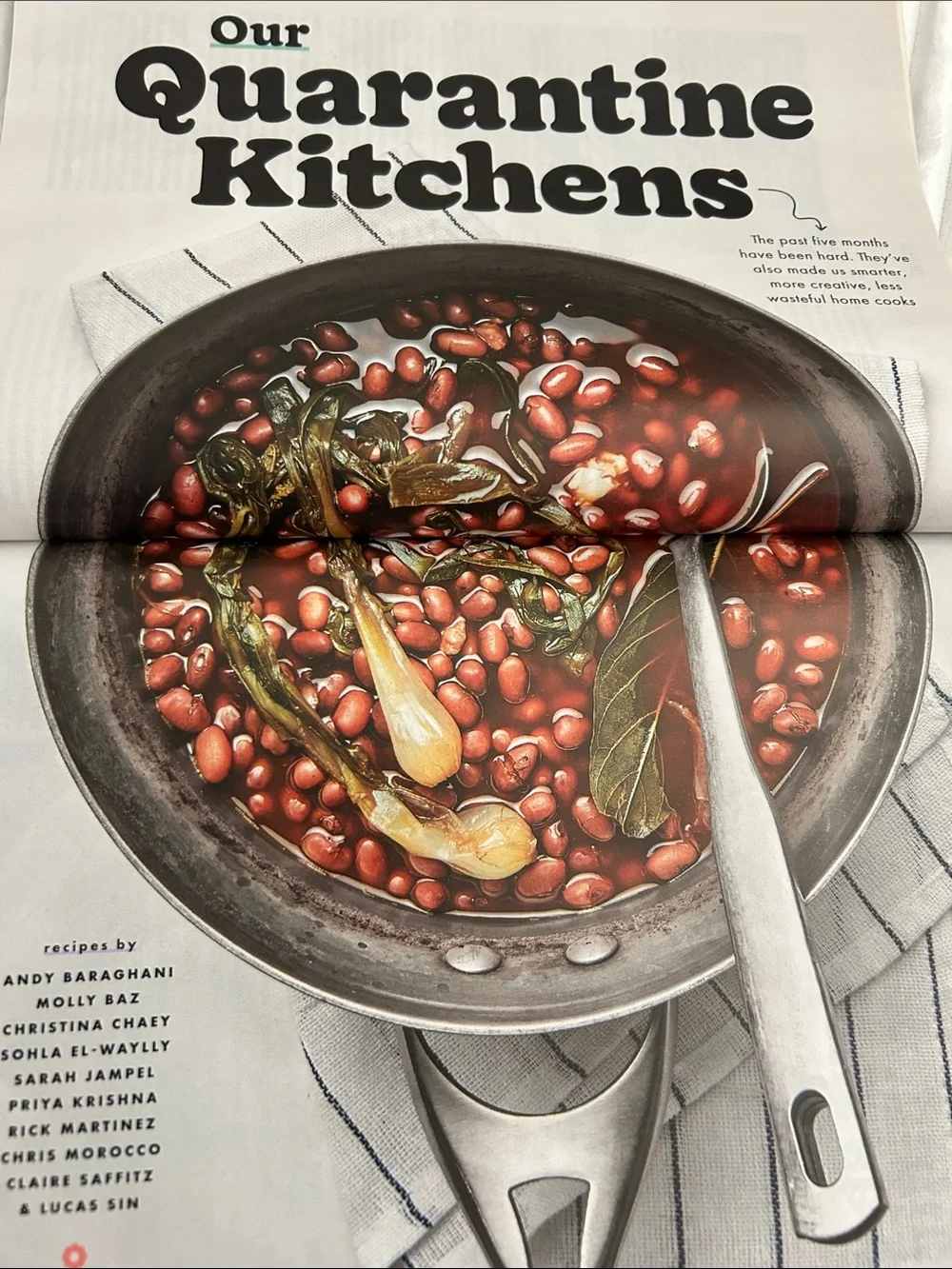 September 2020 Bon Apetit Magazine Featured Golden Fried Rice Salmon Vol 65 No 7